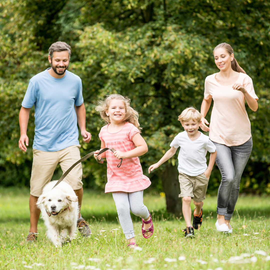 Family with 2 children and a dog walking on grass